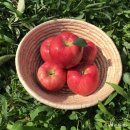 병부농장 이미지