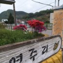 연주1리 마을회관 네이버블로그
