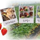 행복한 농장 이미지