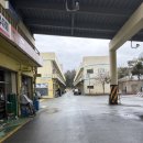 유통단지 산업용재관 22동 앞 | 대구 유통단지 엑스코 가성비밥집 “부산우동”