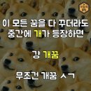 봉숭아 학당 ㅡ 실전 .. 꿈 해몽법~^-^ 이미지