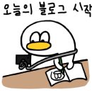 어레브뷰티 이미지