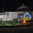 양산배내골 그루트펜션 | [배내골펜션] 새해맞이 댕댕이랑 겨울 여행? 부산에서...뜨끈한 곳 (feat. 양산 오늘리버독채펜션)