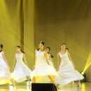 스트로마톨라이트 이미지