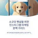 달펫샵 | 소규모 펫샵, SNS로 한 달 만에 알리는 7가지 방법
