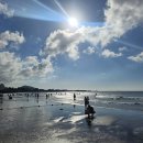 우리두리게스트하우스 | [제주여행] 2025년 7월말에 떠나 5박 6일 제주 나홀로 여행 ...1