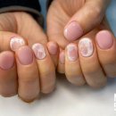 NAIL530