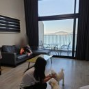 여수안단테애견스파오션뷰펜션 이미지