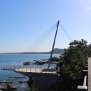 칠포1리 이미지