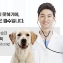 오창동물병원 이미지