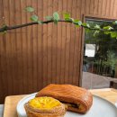 커피한다리 | 104 모모스커피와 소금산 출렁다리 후기