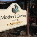 마더스 가든 이미지