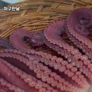 허구한날 이미지