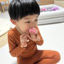 #24.04.01~07 일상 ; 벚꽃따라 다니는 우리✿/ 시공매트로 체인지♩, 열일하는 모델 이설, 가드싫어...