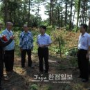 소나무인력개발 이미지