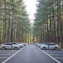 주거1공원 이미지