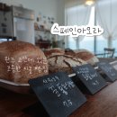 스페인아오라