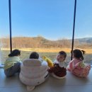 구공스테이도고키즈 이미지