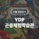 풍뎅이 별관 | 서울 곤충박물관 YPD 곤충체험학습관 입장 주차 체험 재개관 후기 실내 아이랑 가볼만한곳