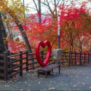 보운농장 이미지