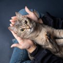 스튜디오아워 네이버블로그
