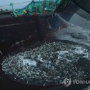 대형선망수산업협동조합