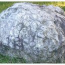 상주 운평리 구상화강암 이미지