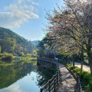 각화저수지 이미지