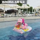 아기랑 가기 좋은 온천 워터파크 파라다이스 스파 도고 주말