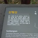 대청농업협동조합 하나로마트 이미지