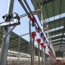 광선축산 이미지