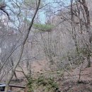 맑은물소리펜션 | 강원도 정선 독채 펜션 계곡 물소리와 밤하늘 별이 함께하는 도원펜션 캠핑장 후기