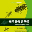 마포 한국빌딩 이미지