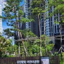 신갈중앙어린이공원 | 처인구 물놀이터 - 중앙물빛어린이공원