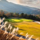 에이치원 이미지