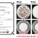 타임네일 페디베네 이미지