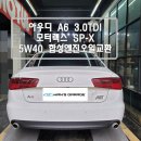 한스게러지 이미지