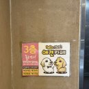 포포앤미루 강동점 | 강동구애견카페 포포앤미루 | 성내동놀거리 이색 데이트
