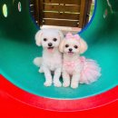 슬기로운 운동생활 | 슬기로운 임신후기생활