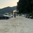 진애견 | [남양주카페] 팔당 북한산카페 리뉴얼 후 새로워진 ‘봉주르 팔당’ 솔직 후기 (애견동반/북한강뷰)
