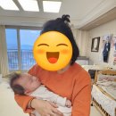 디어마망 이미지