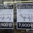 수정곰탕 이미지