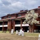 볕우물어린이공원 | 서울 벚꽃 명소 용산공원 반환부지 후기 | 용산미군기지 목련 산책가는법, 주차