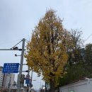 GS25김해중앙병원점 | [서울 용산구 맛집 - 경운산 한남점] 한남동 한식주점 주말 방문 후기