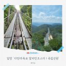 카나이스 | [ 달랏 여행지 추천 ] 다딴라폭포 알파인코스터 루지 / 죽림선원 케이블카 솔직후기