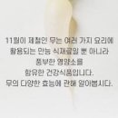 무효능 무즙 생무 효능 무우효능 알려봐요 이미지