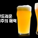 애드바이스 이미지