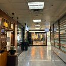 2936 | 대치역미용실 추천 <에코쟈뎅 대치테라스>내돈내산 톤다운 염색 후기