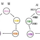 한국침술연합회 이미지