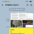 자연선어